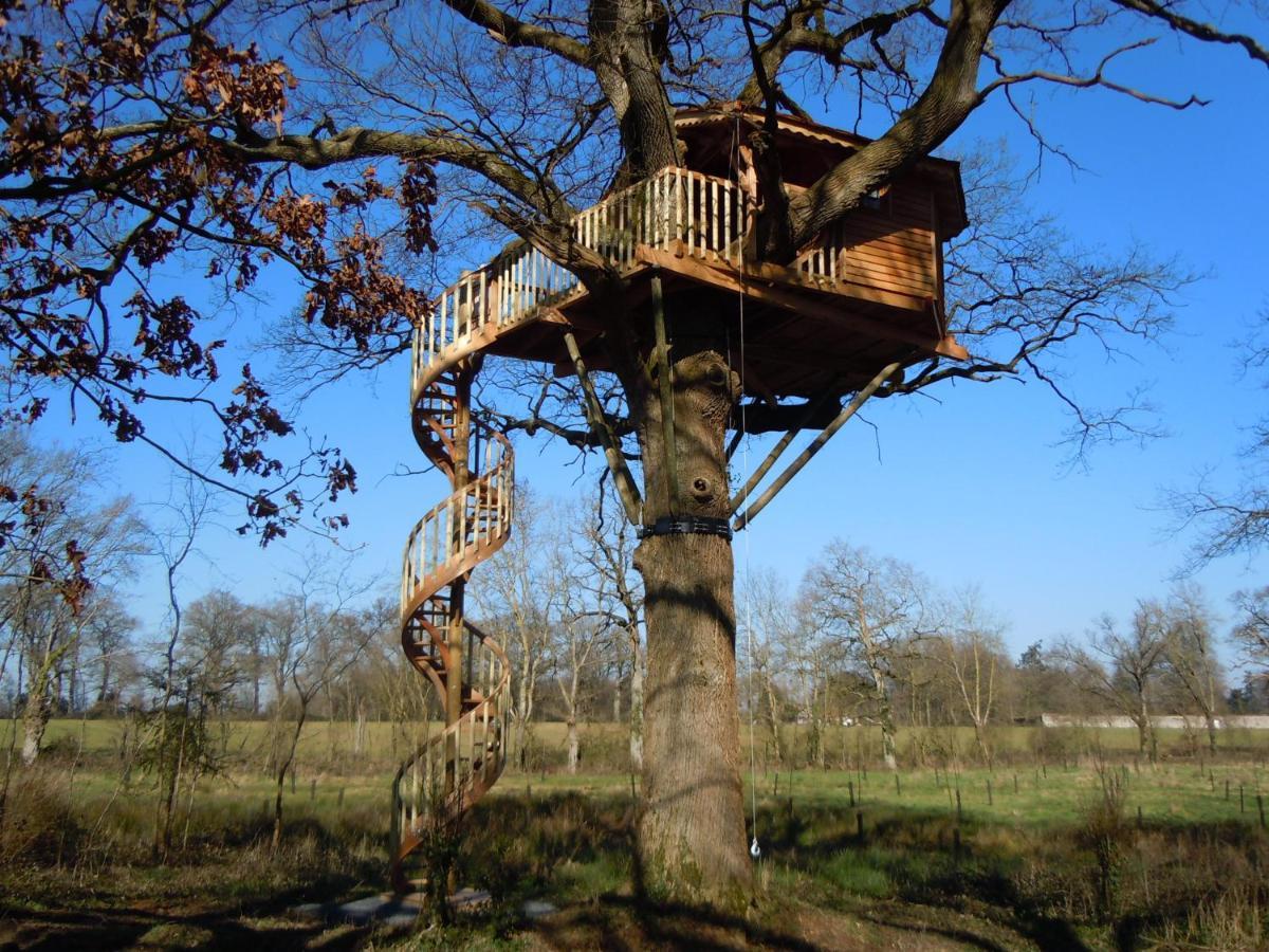 Cabanes Et Studios A La Bernardiere Sevremoine Exteriör bild