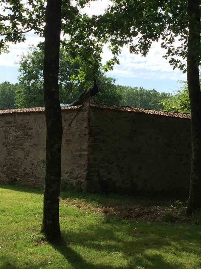 Cabanes Et Studios A La Bernardiere Sevremoine Exteriör bild