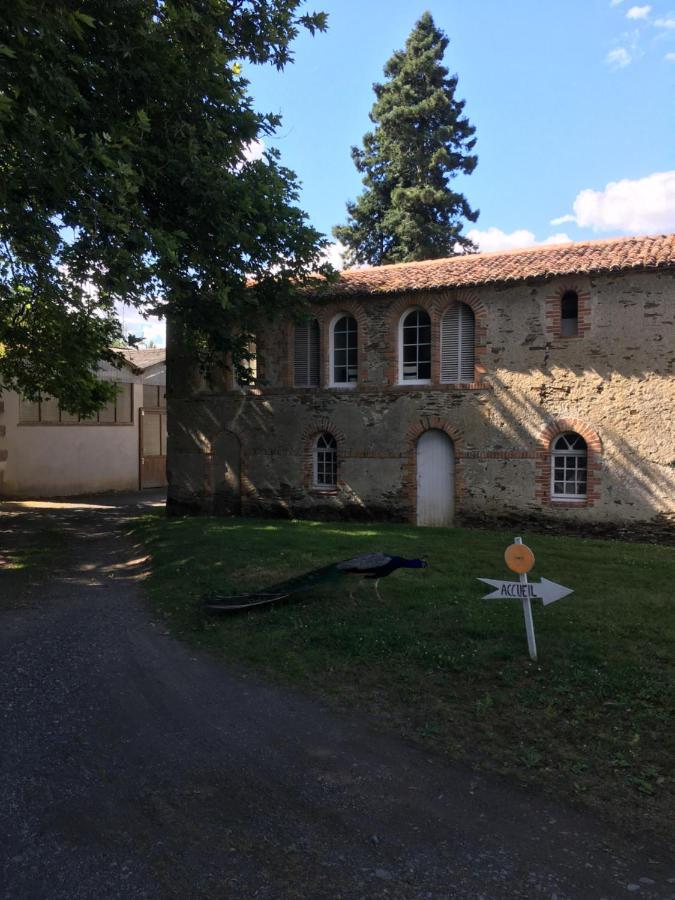 Cabanes Et Studios A La Bernardiere Sevremoine Exteriör bild